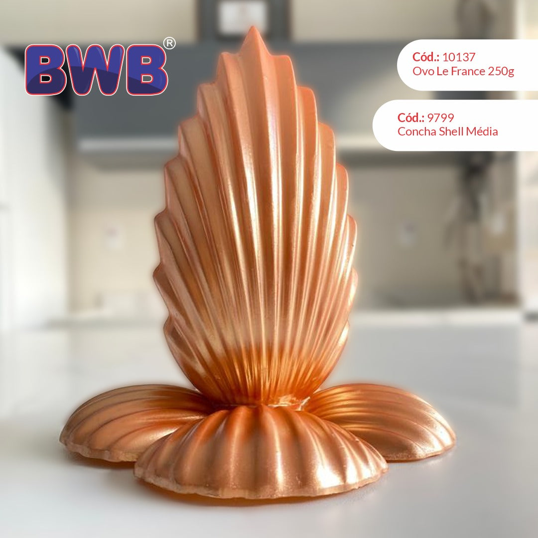Shell Egg 3 piece Mold – Icing Inspirations - School and Cake Supply Shoppe