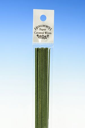 Hamilworth 22 gauge Dark Green Wire – Icing Inspirations - School and ...